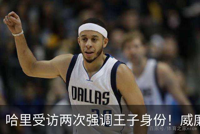 哈里受访两次强调王子身份！威廉被问称呼，却只说怎么合适怎么来